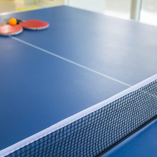 Table tennis or ping pong